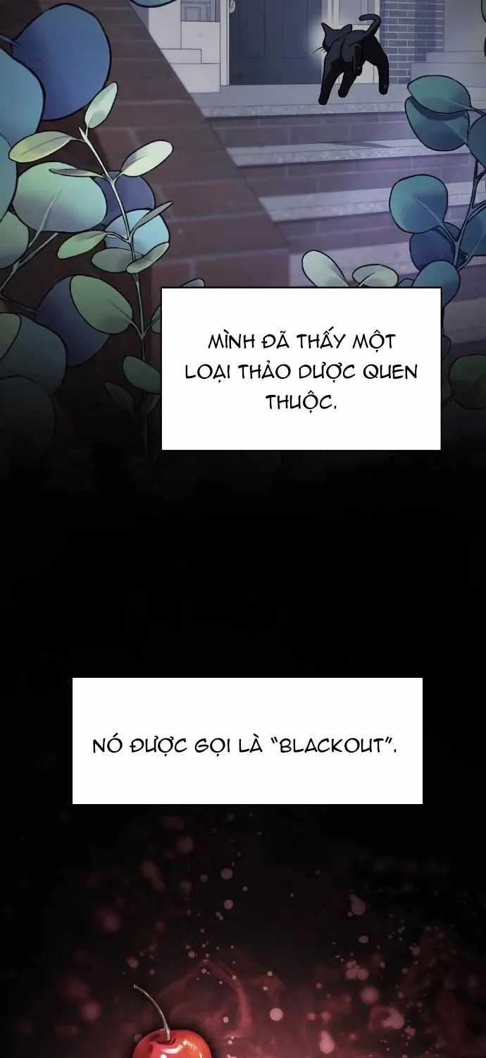 Đa Sắc Ma Pháp Sư Thiên Tài - Chapter 65 - Trang 12