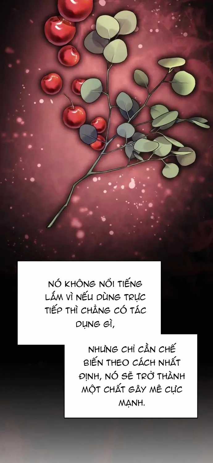 Đa Sắc Ma Pháp Sư Thiên Tài - Chapter 65 - Trang 13