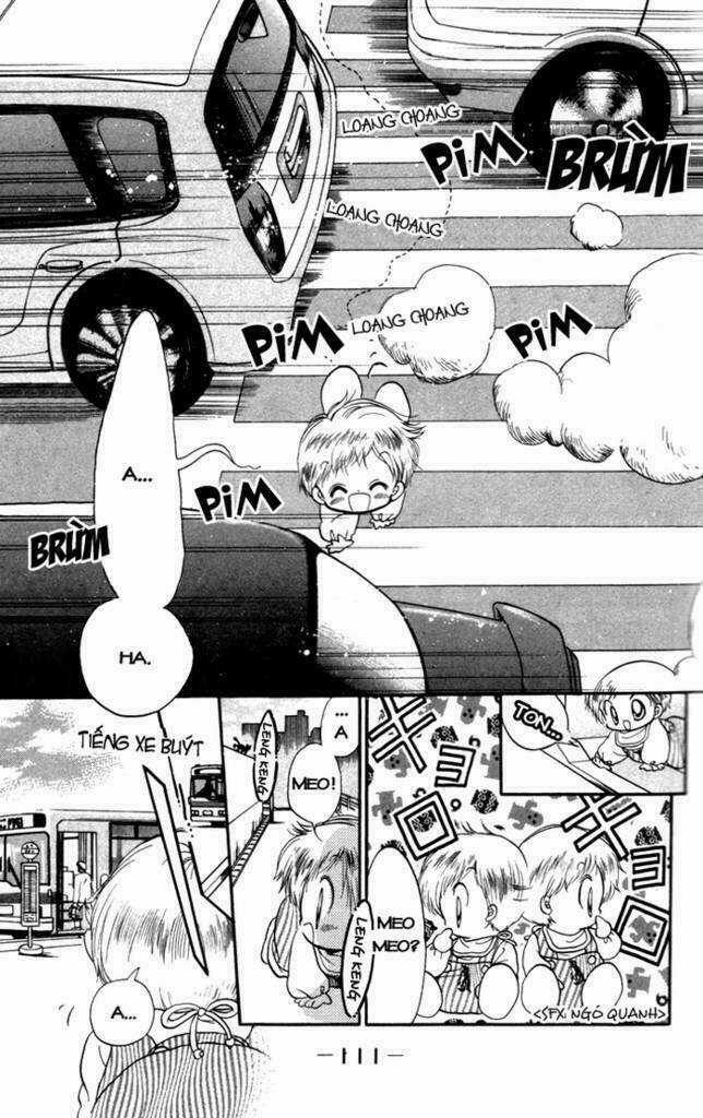 Daa! Daa! Daa! - Chapter 14 - Trang 11