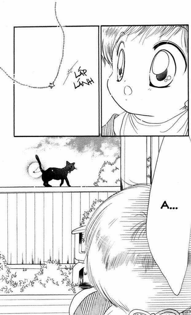 Daa! Daa! Daa! - Chapter 14 - Trang 5