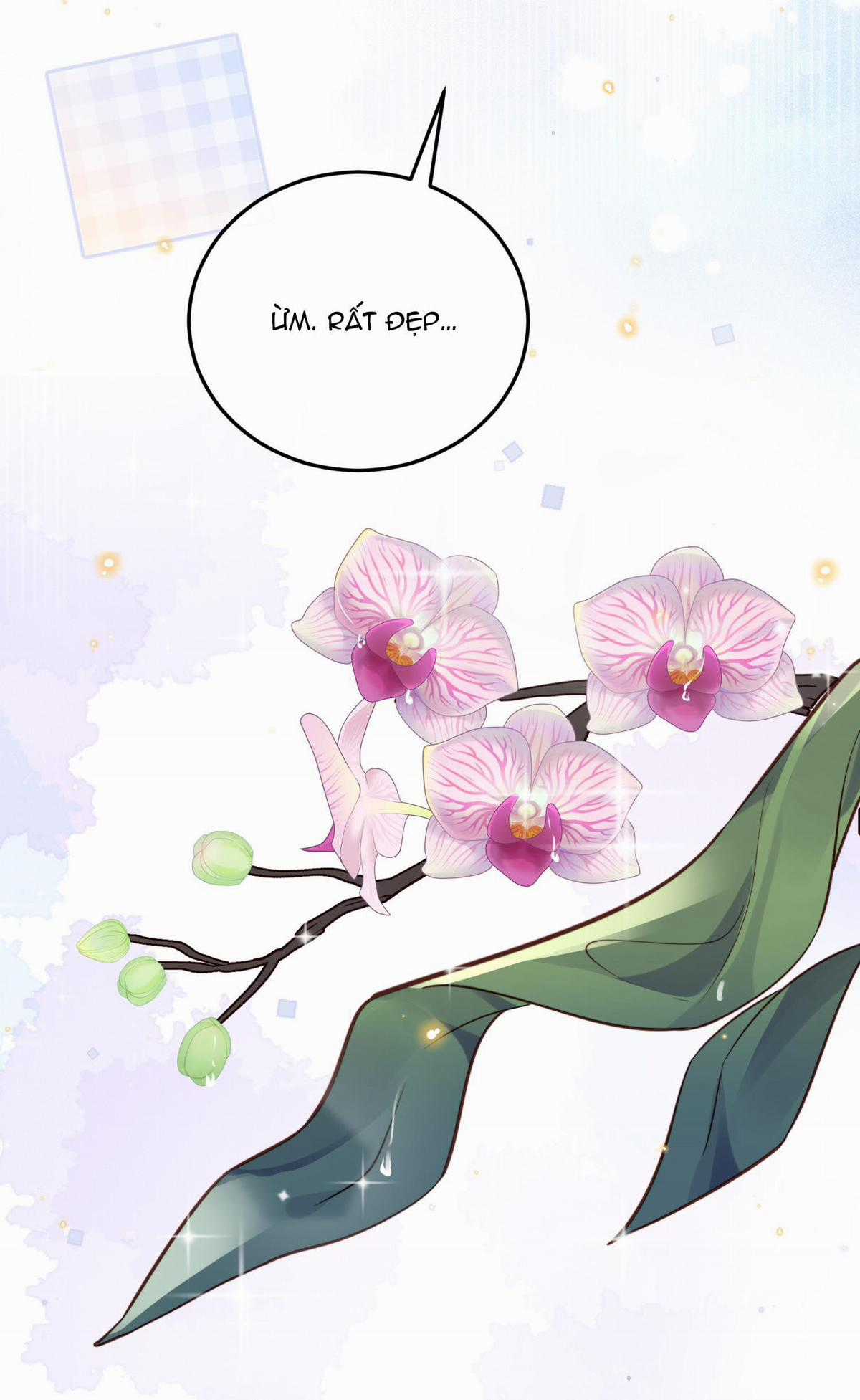 Đặc Chế Cho Riêng Anh - Chapter 44 - Trang 27