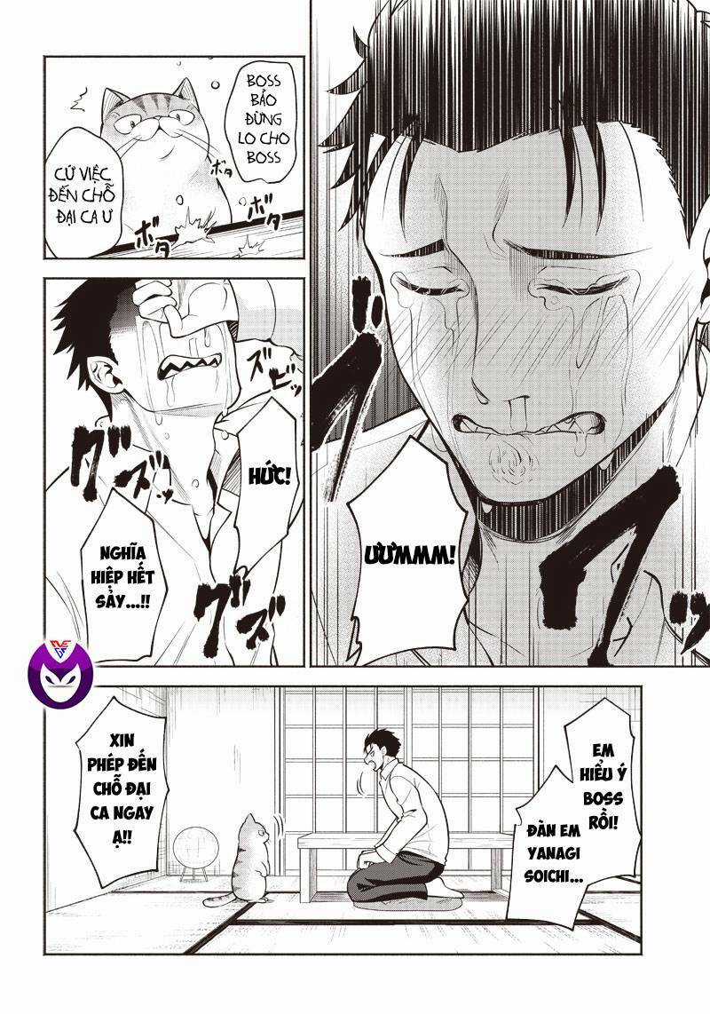 Đại Ca Băng Mèo Mướp - Chapter 2 - Trang 7