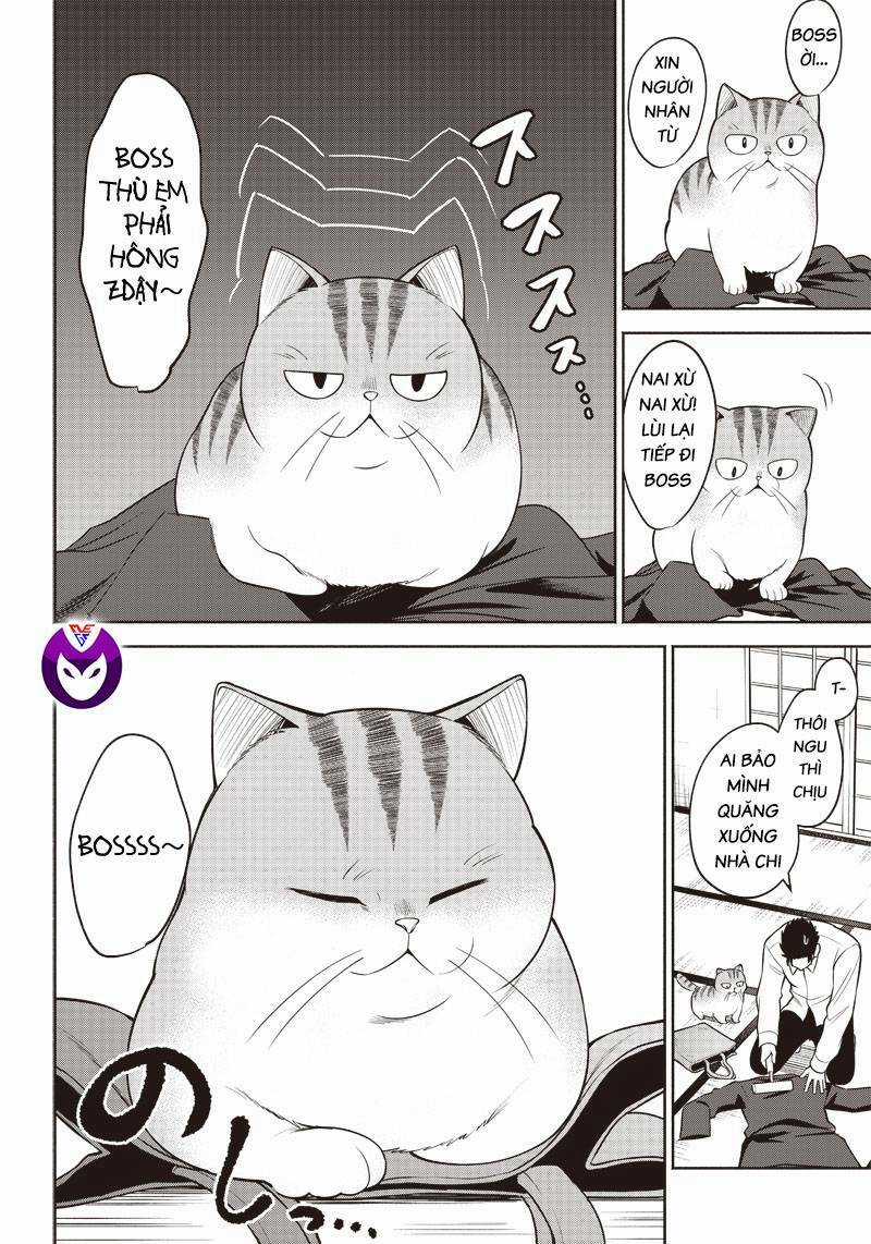 Đại Ca Băng Mèo Mướp - Chapter 2 - Trang 10