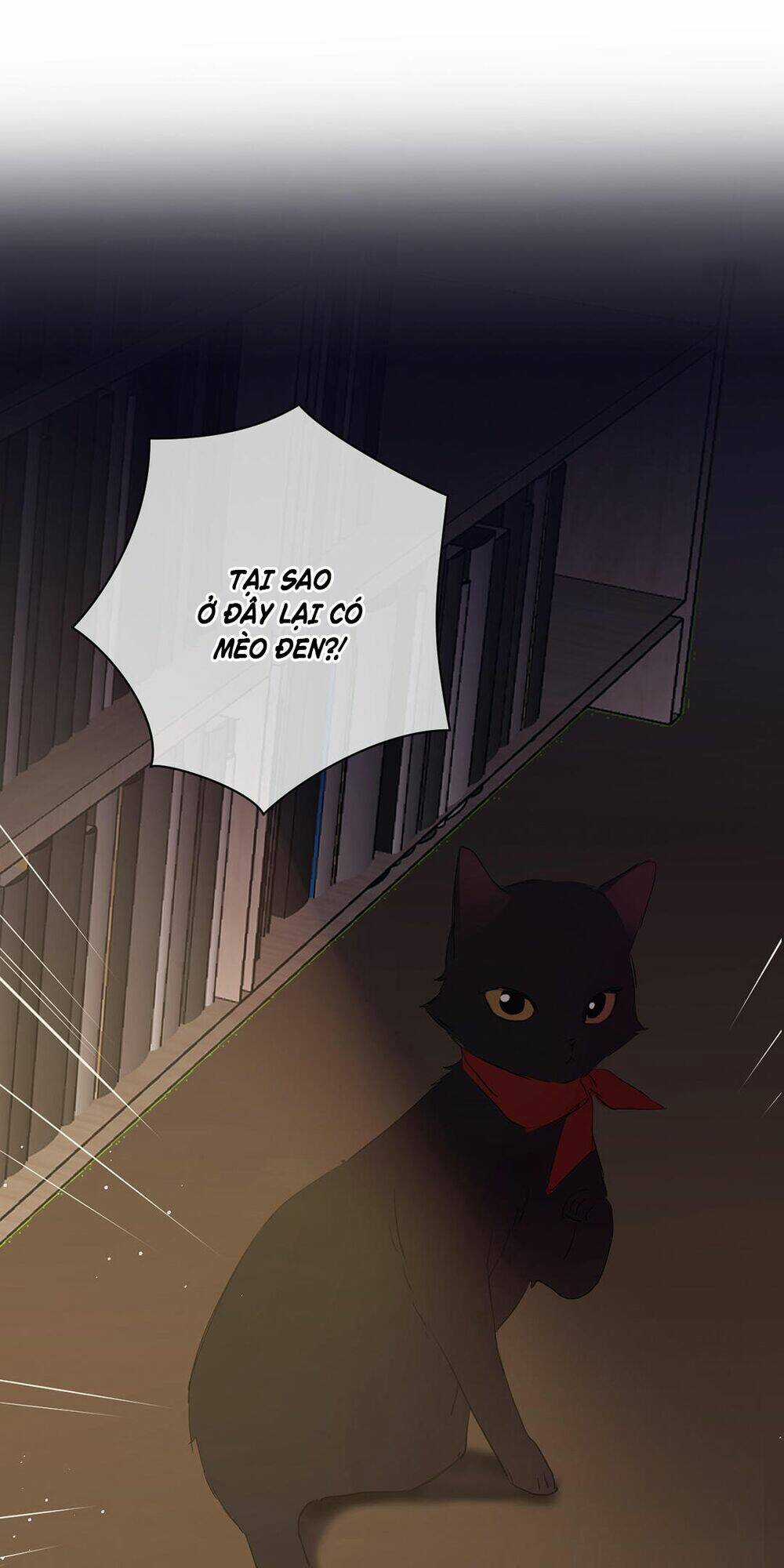 Đại Chiến Công Chúa - Chapter 18 - Trang 62