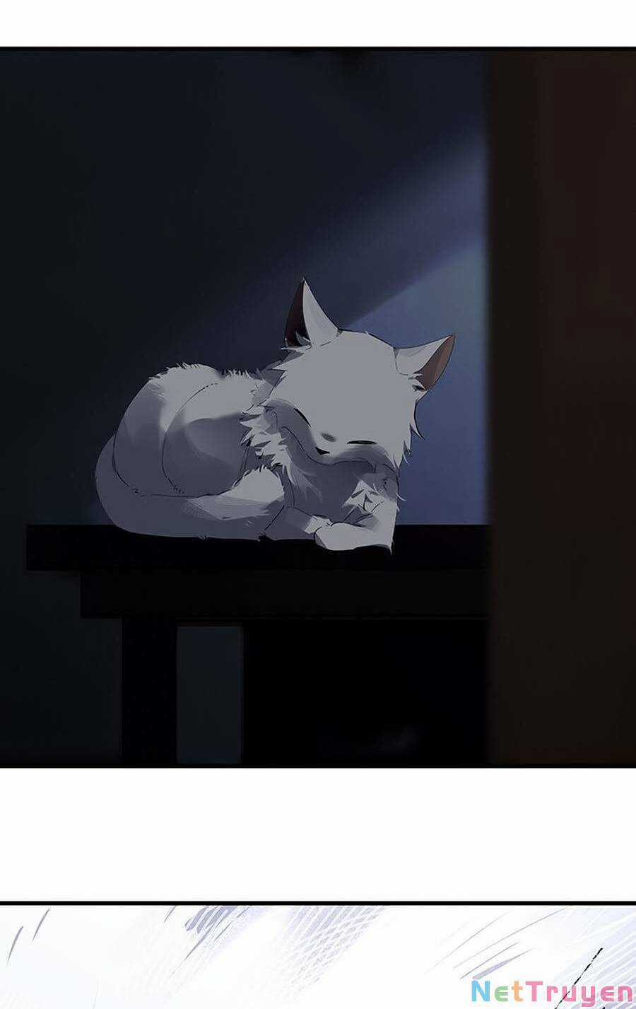 Đại Đạo Triều Thiên - Chapter 73 - Trang 13