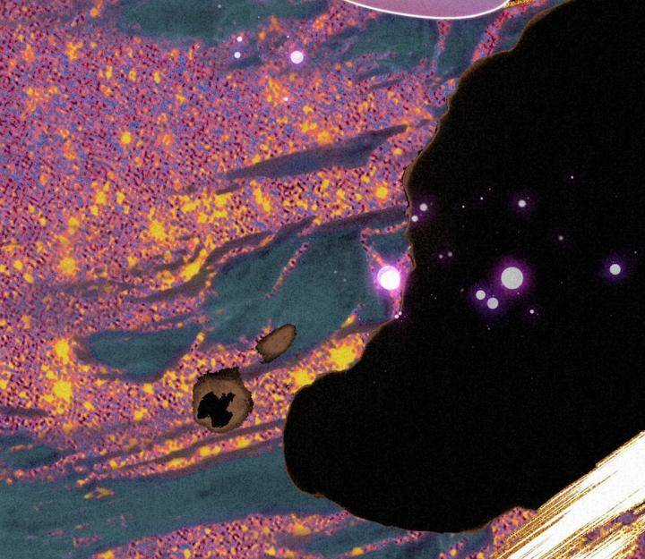 Đại Đế Vương - Chapter 5 - Trang 53