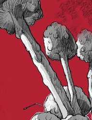 Đọc truyện Đại Dịch Tận Thế