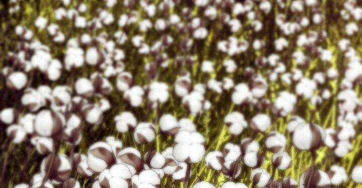 Đại Dương Kiêu Sa - Chapter 67.2 - Trang 41