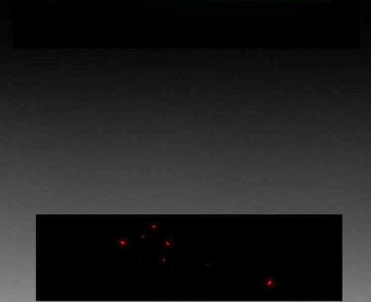 Đại Sư Phụ Hạ Sơn - Chapter 11 - Trang 53