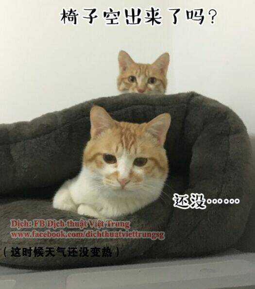 Đại Thánh Và Tiểu Yêu - Chapter 30 - Trang 9