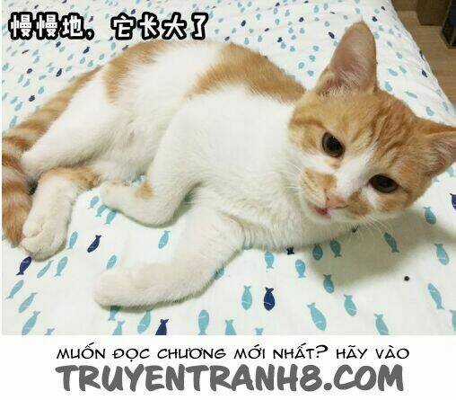 Đại Thánh Và Tiểu Yêu - Chapter 7 - Trang 13