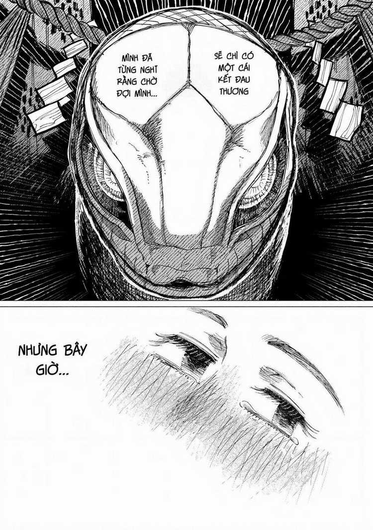 Đại Xà Phu Nhân - Chapter 10 - Trang 29