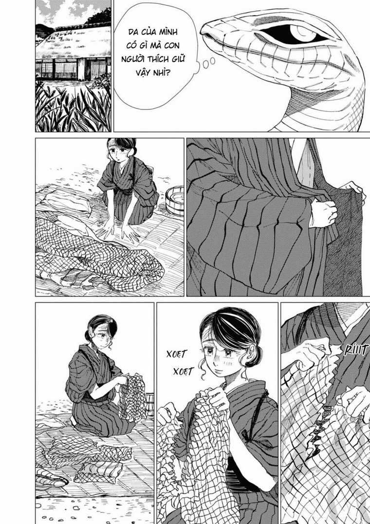 Đại Xà Phu Nhân - Chapter 11 - Trang 12