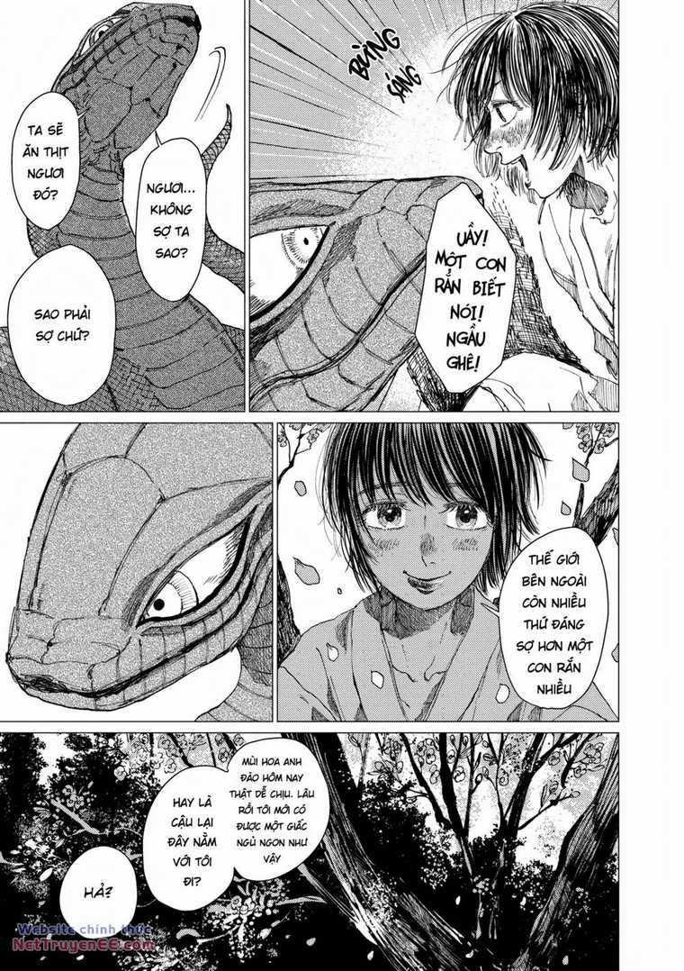 Đại Xà Phu Nhân - Chapter 14 - Trang 11