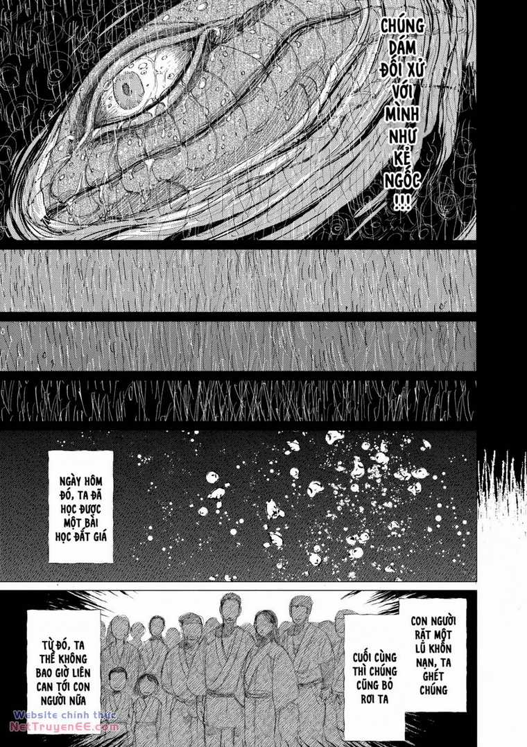 Đại Xà Phu Nhân - Chapter 14 - Trang 25