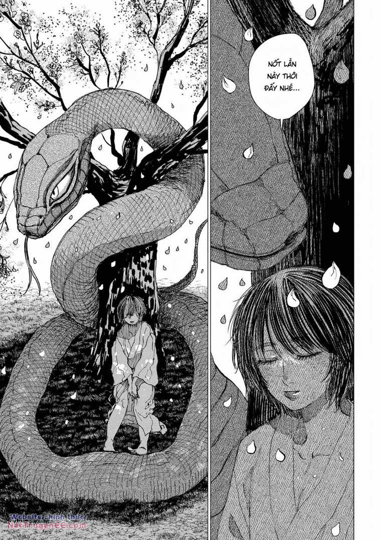 Đại Xà Phu Nhân - Chapter 14 - Trang 34