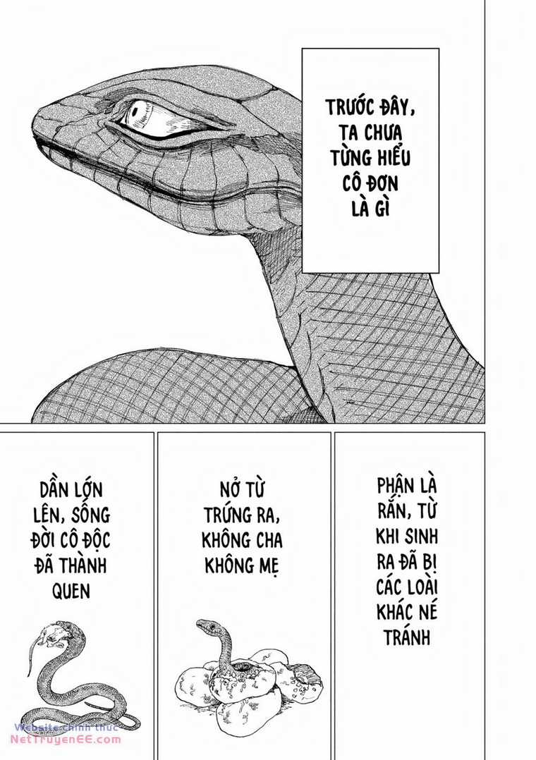 Đại Xà Phu Nhân - Chapter 14 - Trang 41