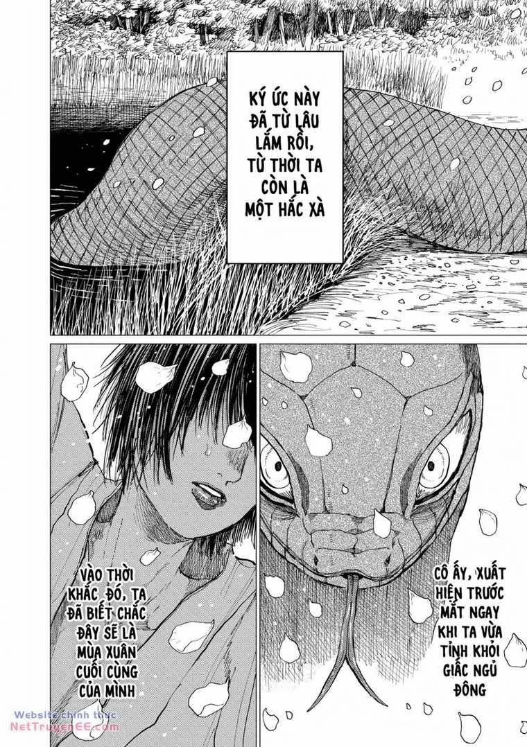 Đại Xà Phu Nhân - Chapter 14 - Trang 8