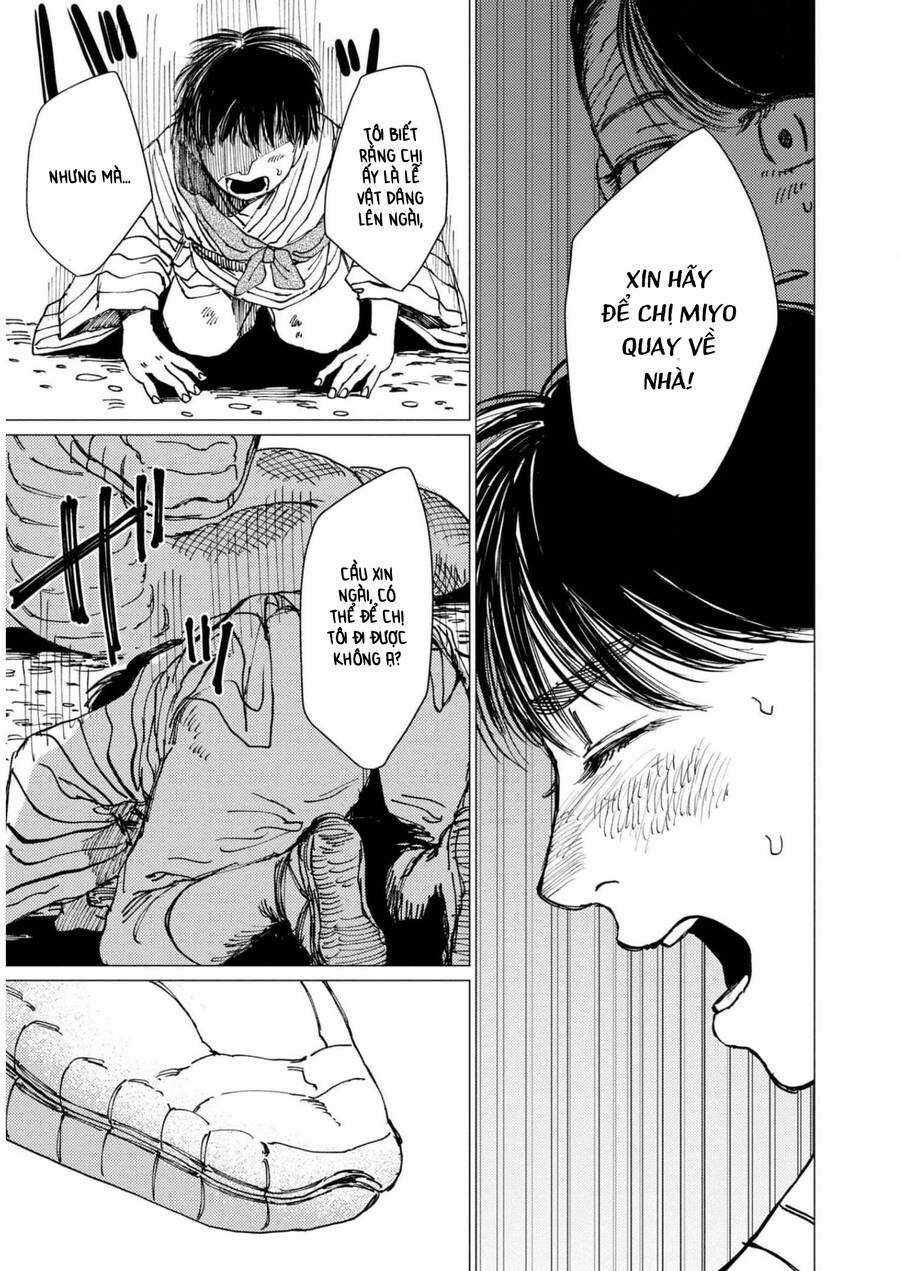 Đại Xà Phu Nhân - Chapter 17 - Trang 11