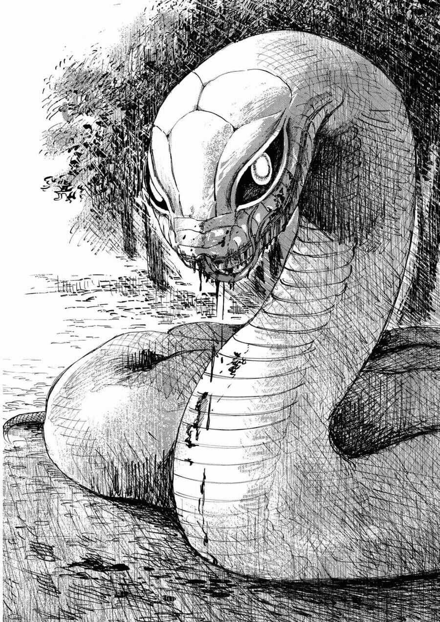 Đại Xà Phu Nhân - Chapter 18 - Trang 35