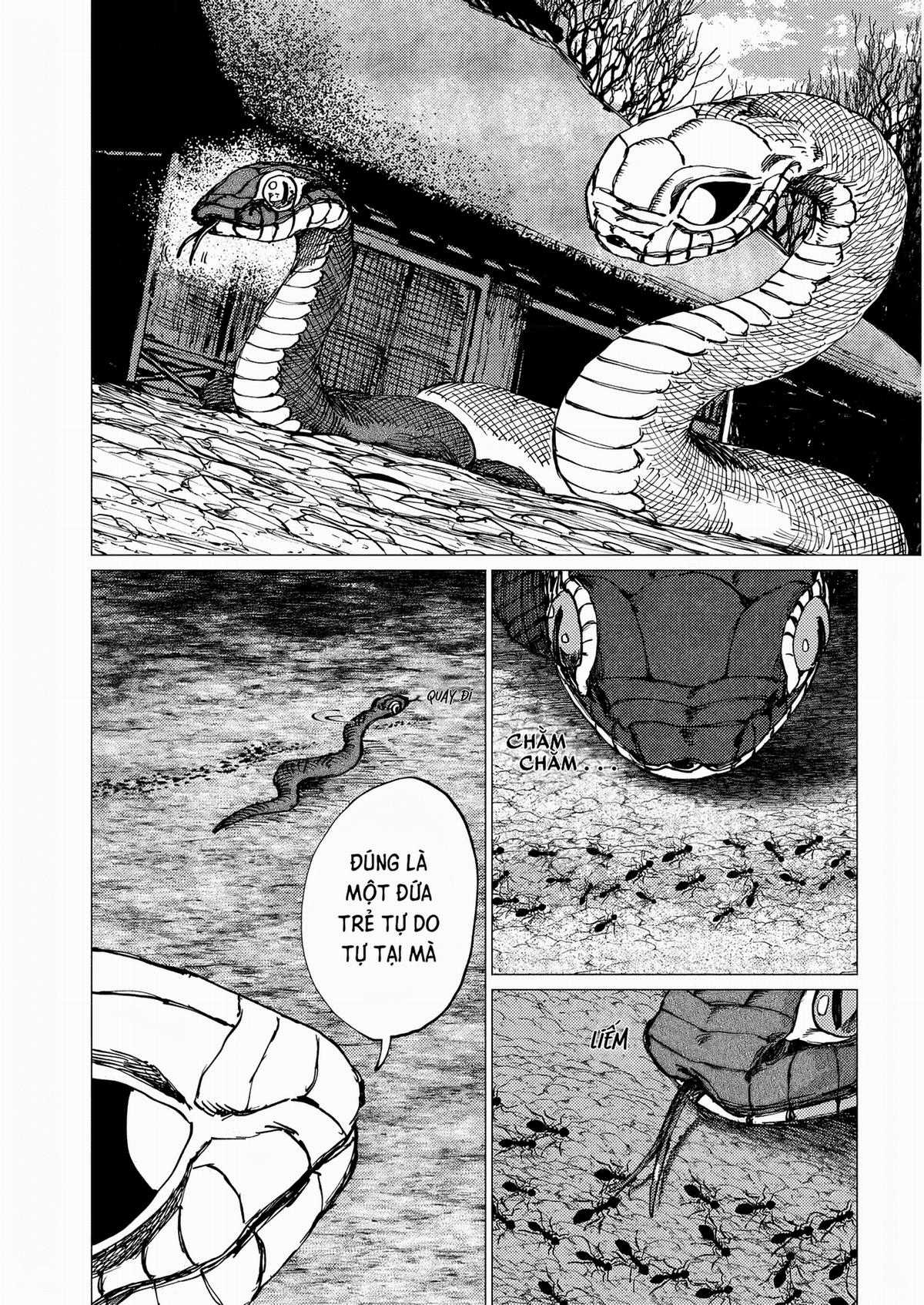 Đại Xà Phu Nhân - Chapter 22 - Trang 10