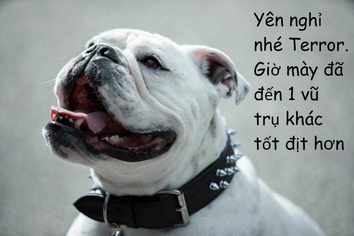 Đám bồ tèo - Chapter 59 - Trang 29