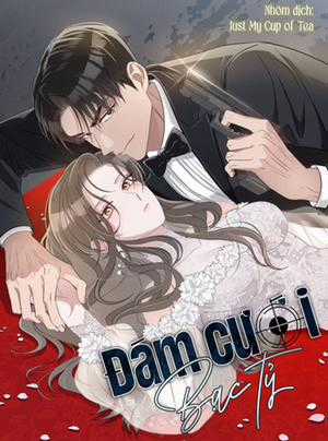 Đọc truyện Đám Cưới Bạc Tỷ