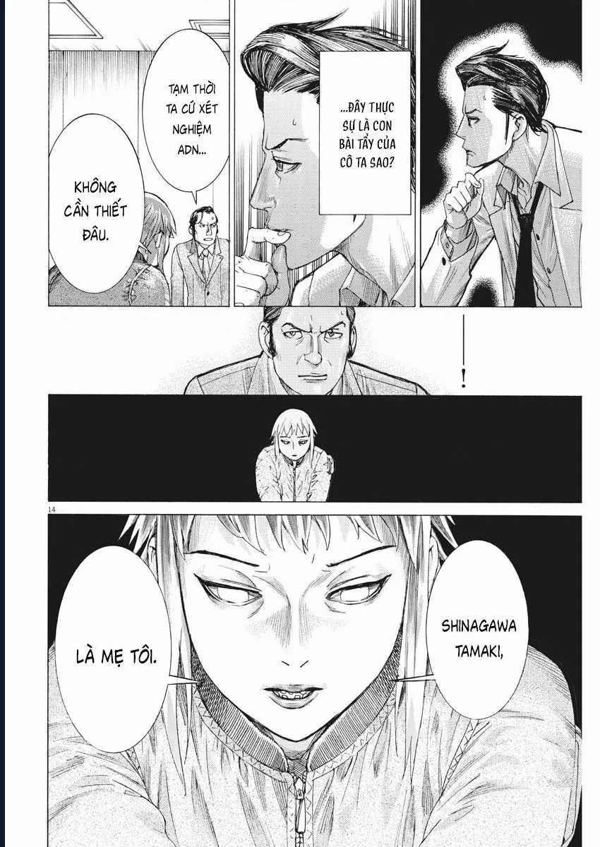 Đám Cưới Của Natsume Arata - Chapter 45 - Trang 14