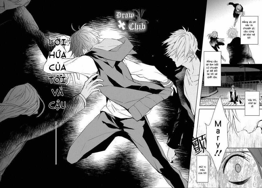 Đẫm máu Đức Mẹ - Chapter 35 - Trang 19