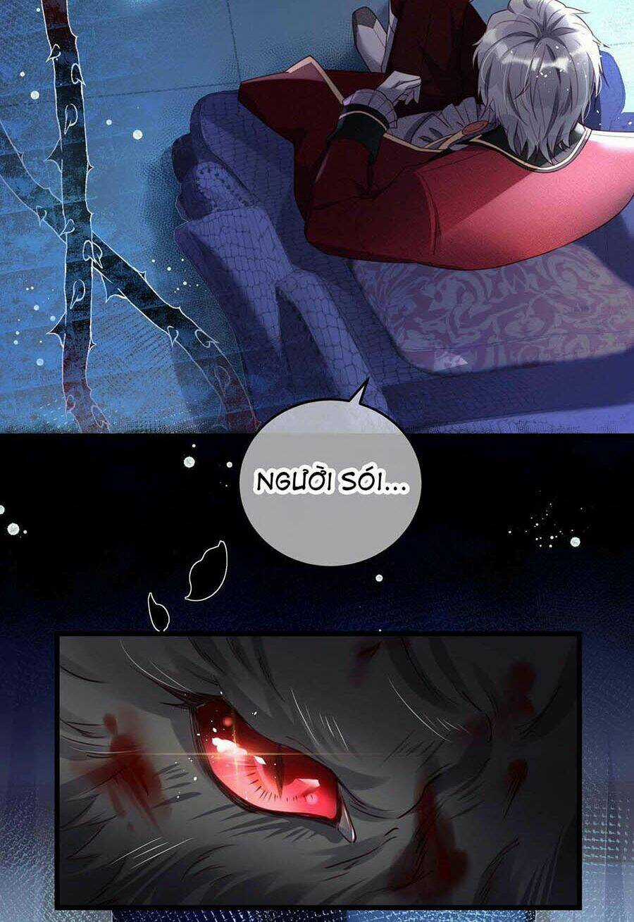 Dẫn Sói Vào Phòng - Chapter 1 - Trang 7