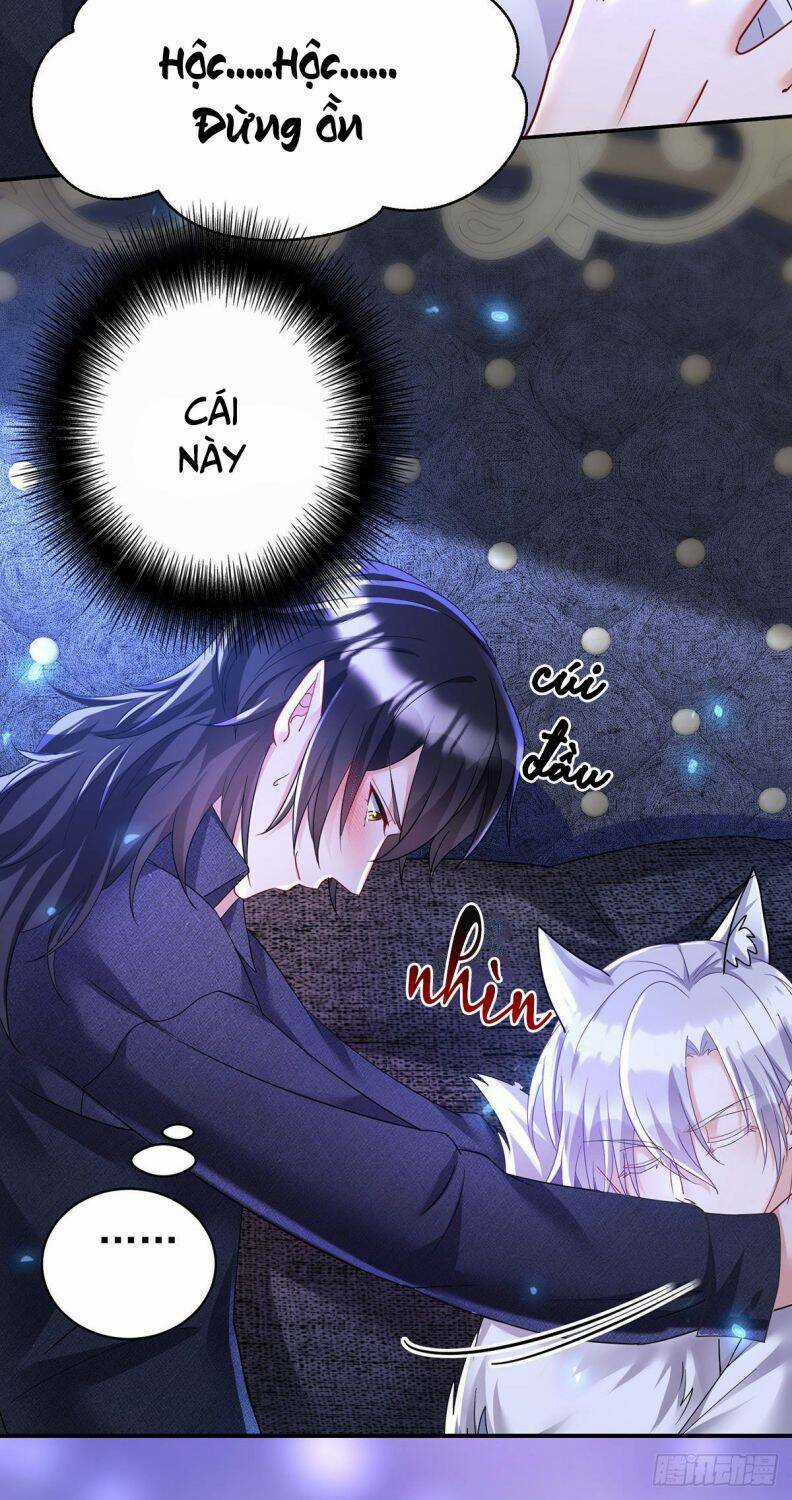 Dẫn Sói Vào Phòng - Chapter 113 - Trang 19