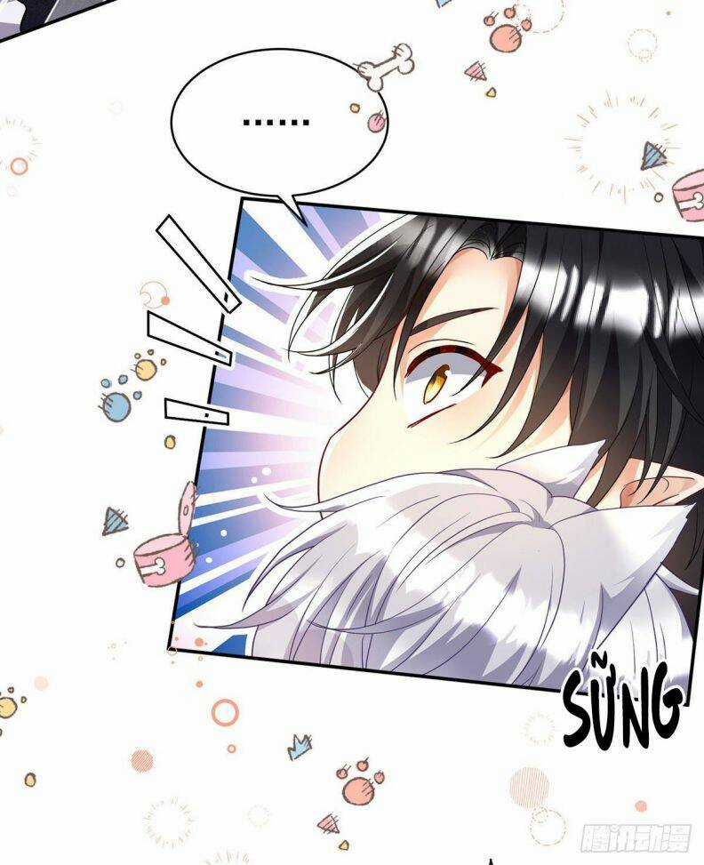 Dẫn Sói Vào Phòng - Chapter 114 - Trang 29