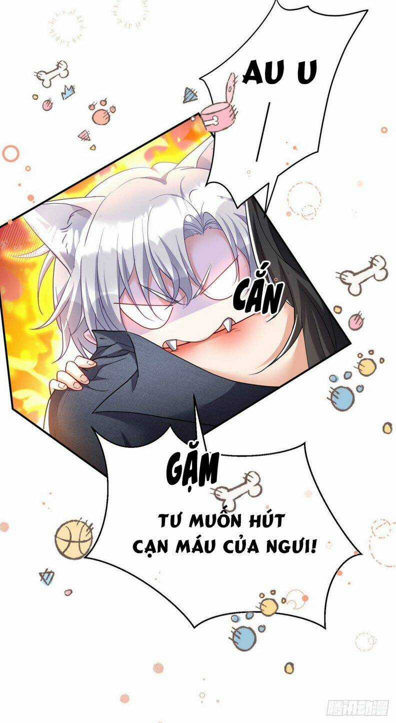 Dẫn Sói Vào Phòng - Chapter 114 - Trang 30