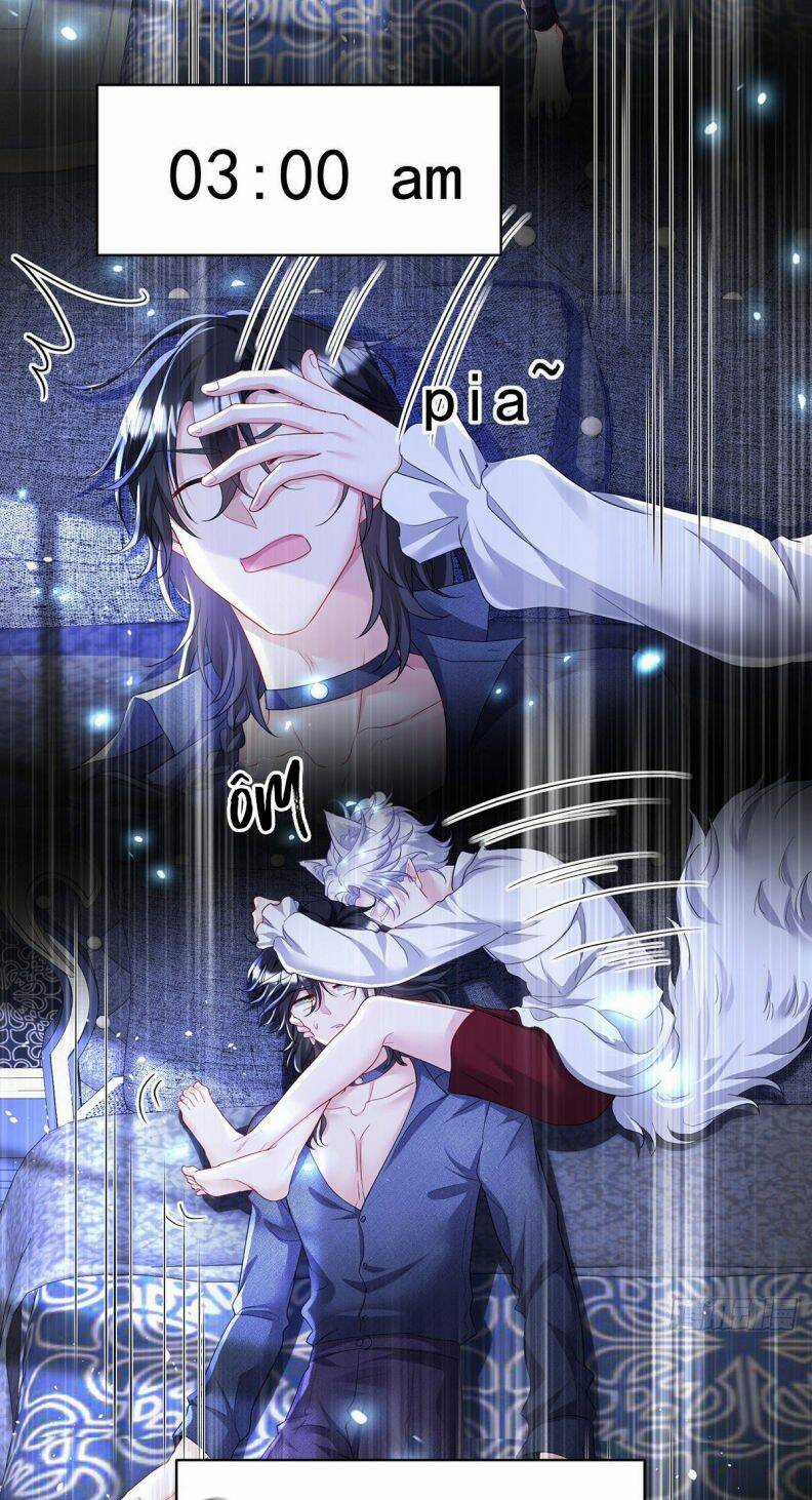 Dẫn Sói Vào Phòng - Chapter 114 - Trang 6