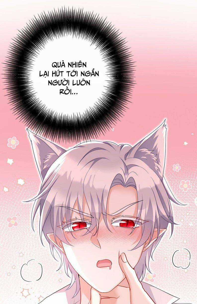 Dẫn Sói Vào Phòng - Chapter 115 - Trang 4