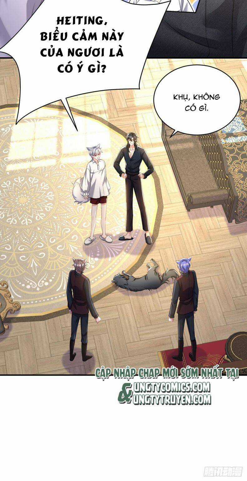 Dẫn Sói Vào Phòng - Chapter 117 - Trang 19