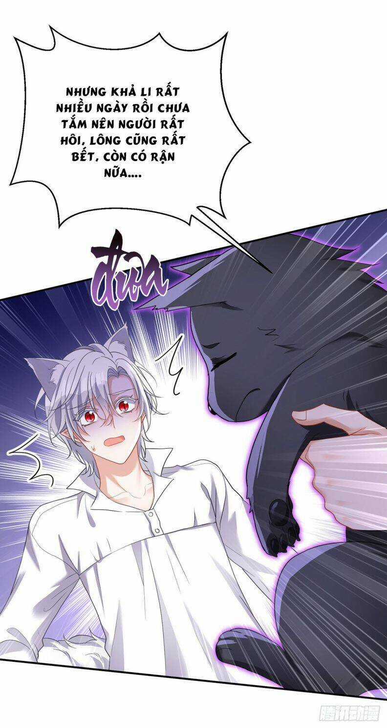 Dẫn Sói Vào Phòng - Chapter 118 - Trang 5