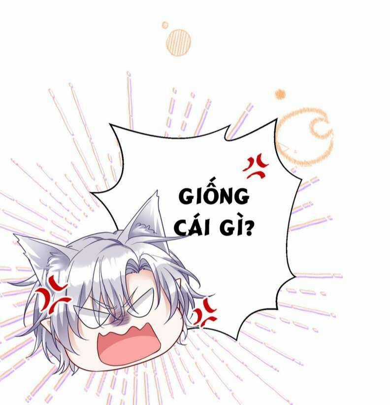 Dẫn Sói Vào Phòng - Chapter 119 - Trang 28