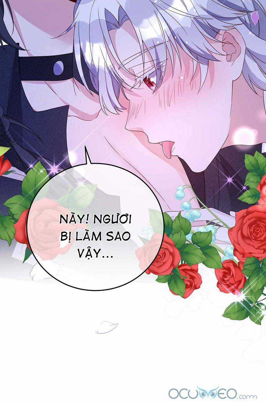 Dẫn Sói Vào Phòng - Chapter 12 - Trang 31
