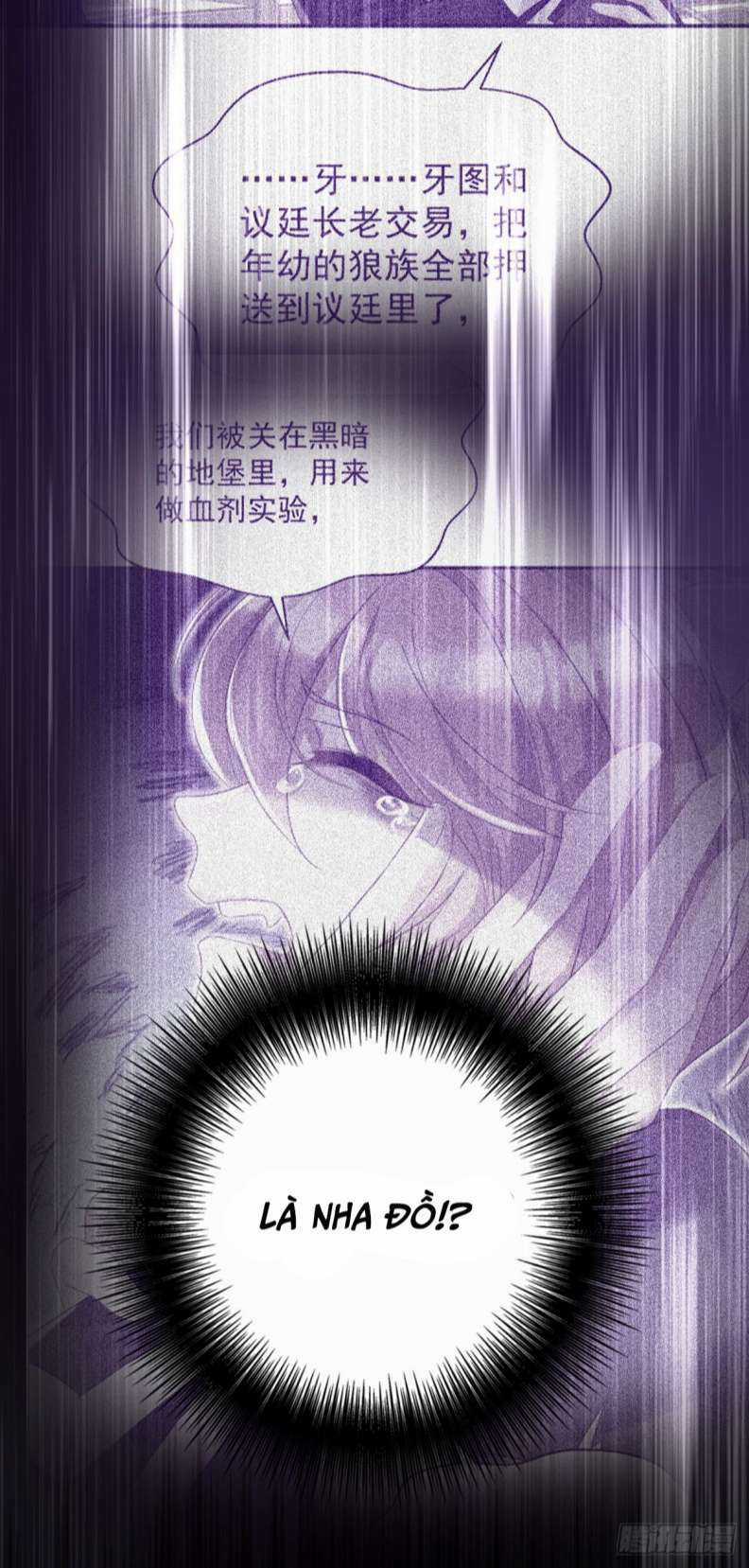 Dẫn Sói Vào Phòng - Chapter 120 - Trang 14