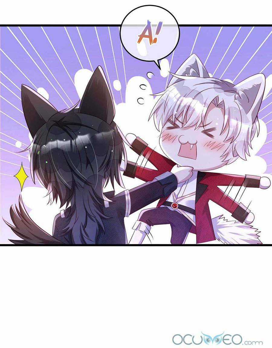 Dẫn Sói Vào Phòng - Chapter 13 - Trang 12