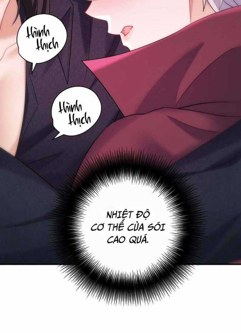 Dẫn Sói Vào Phòng - Chapter 132 - Trang 4