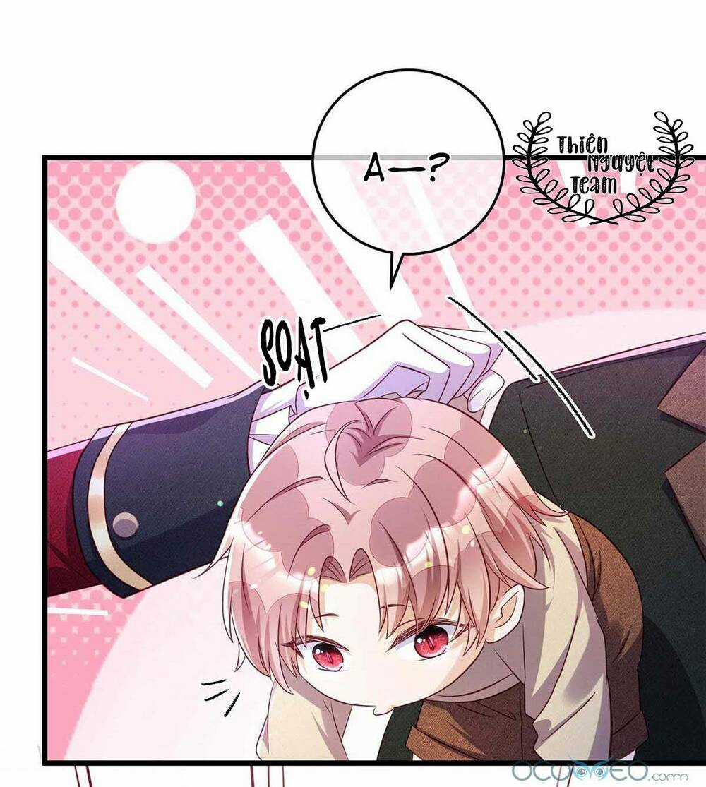 Dẫn Sói Vào Phòng - Chapter 14 - Trang 24