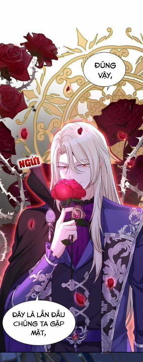 Dẫn Sói Vào Phòng - Chapter 151 - Trang 28