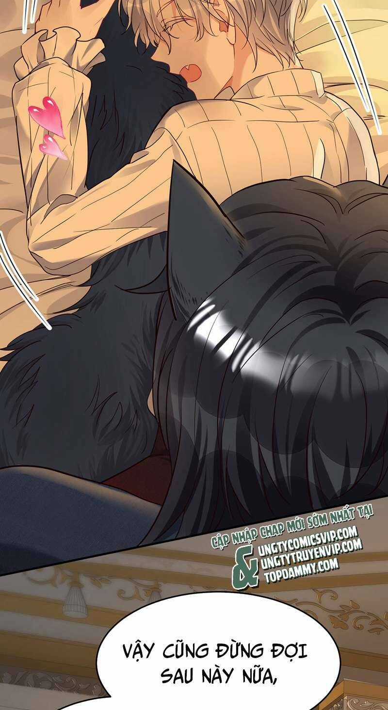 Dẫn Sói Vào Phòng - Chapter 158 - Trang 2