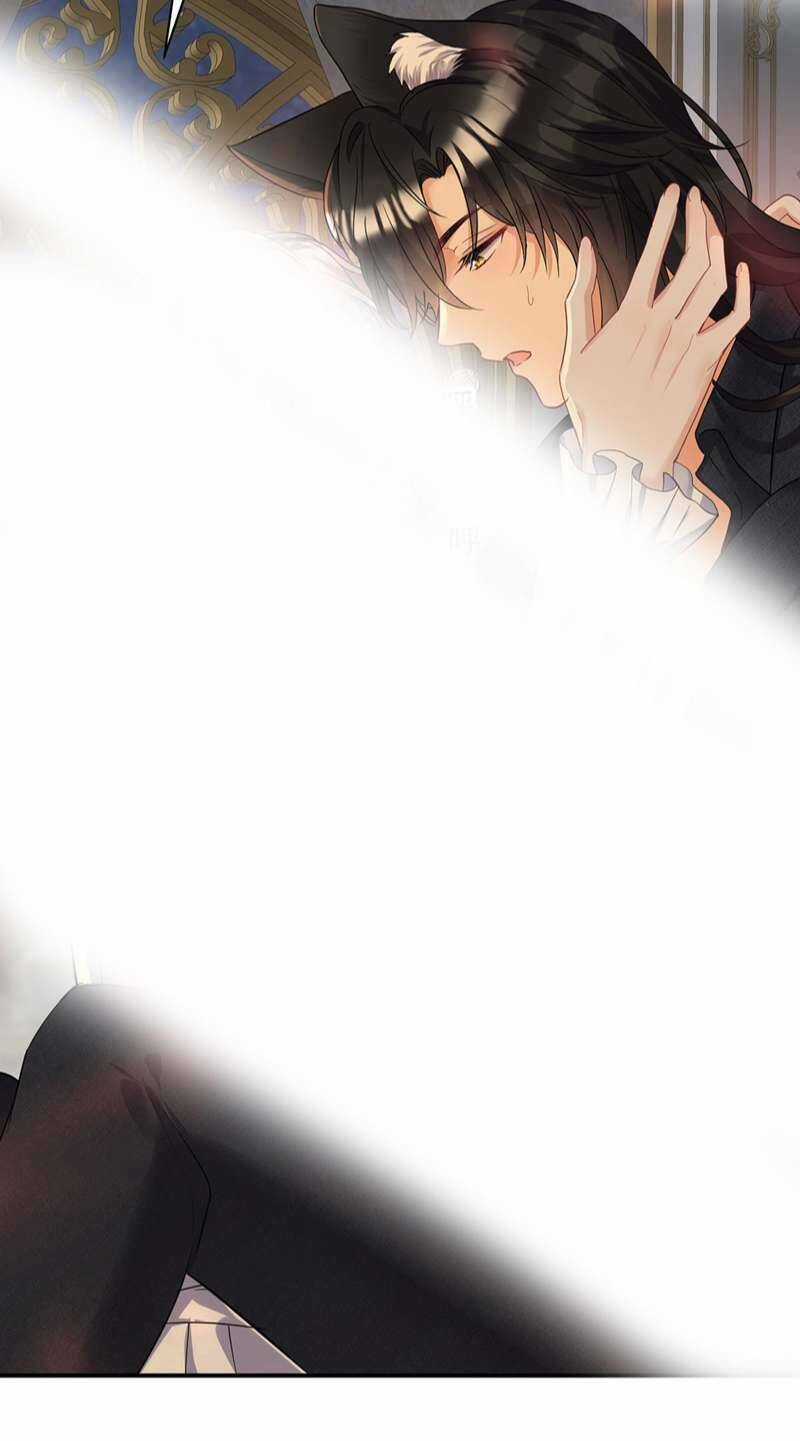 Dẫn Sói Vào Phòng - Chapter 158 - Trang 14