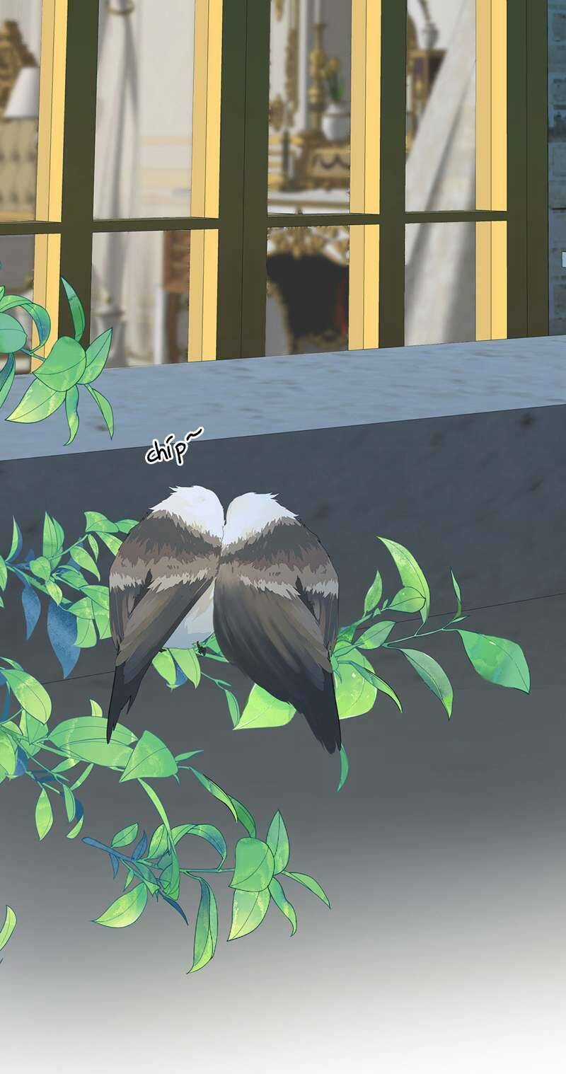 Dẫn Sói Vào Phòng - Chapter 158 - Trang 33