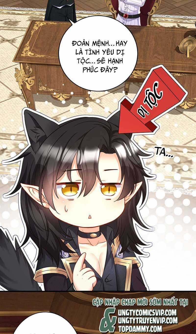 Dẫn Sói Vào Phòng - Chapter 161 - Trang 6