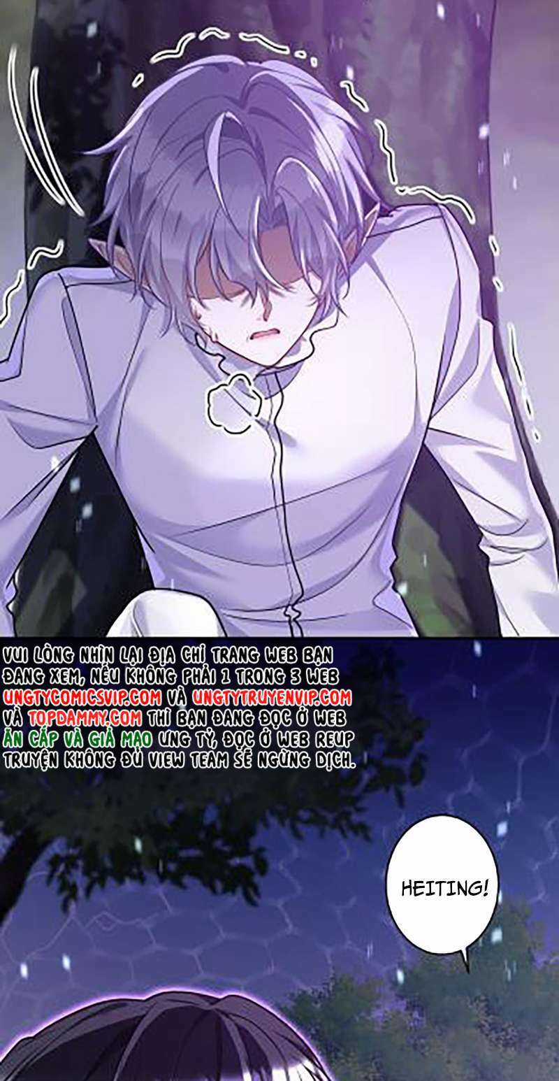 Dẫn Sói Vào Phòng - Chapter 175 - Trang 12