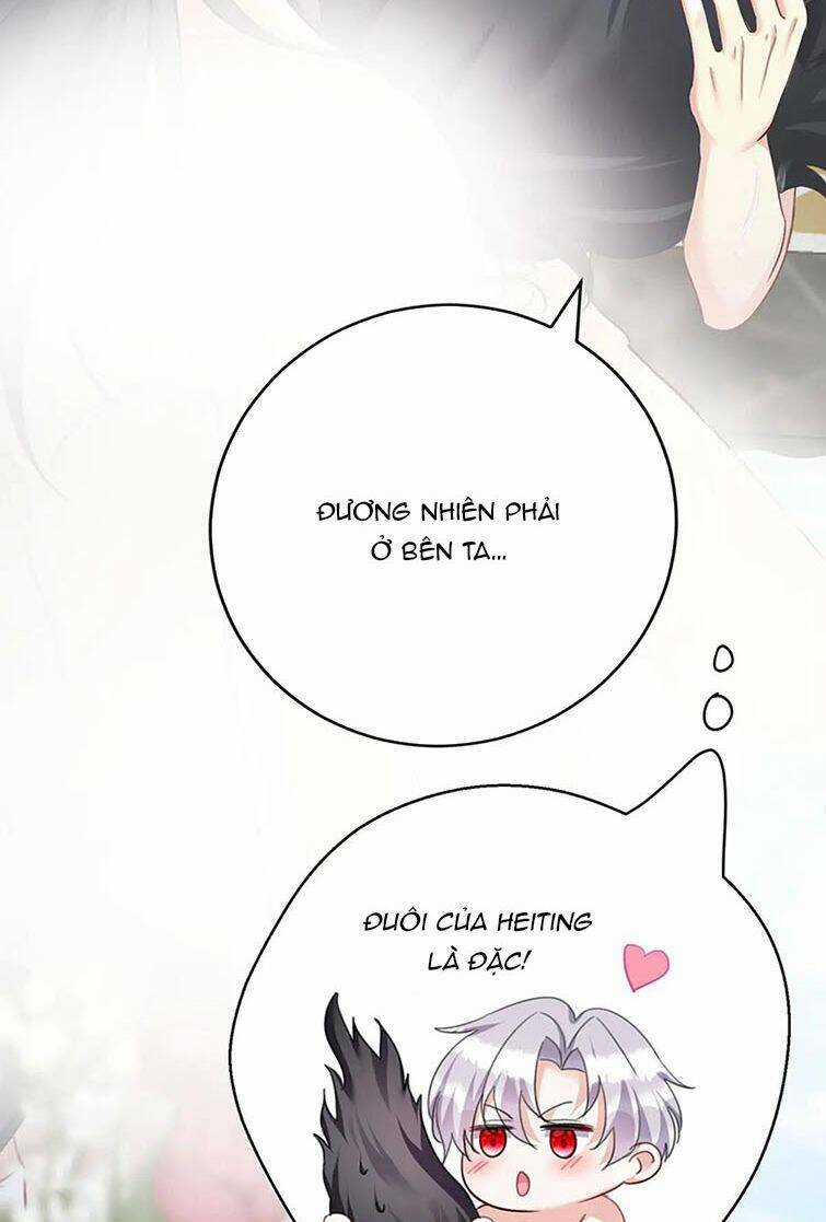 Dẫn Sói Vào Phòng - Chapter 181 - Trang 4